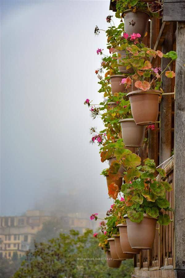 طیبه گودرزی