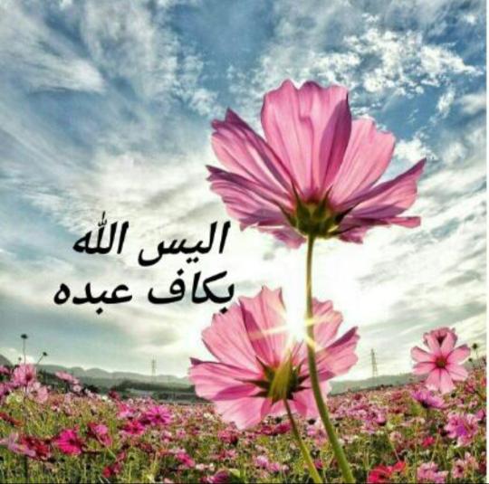 یا کریم اهل بیت