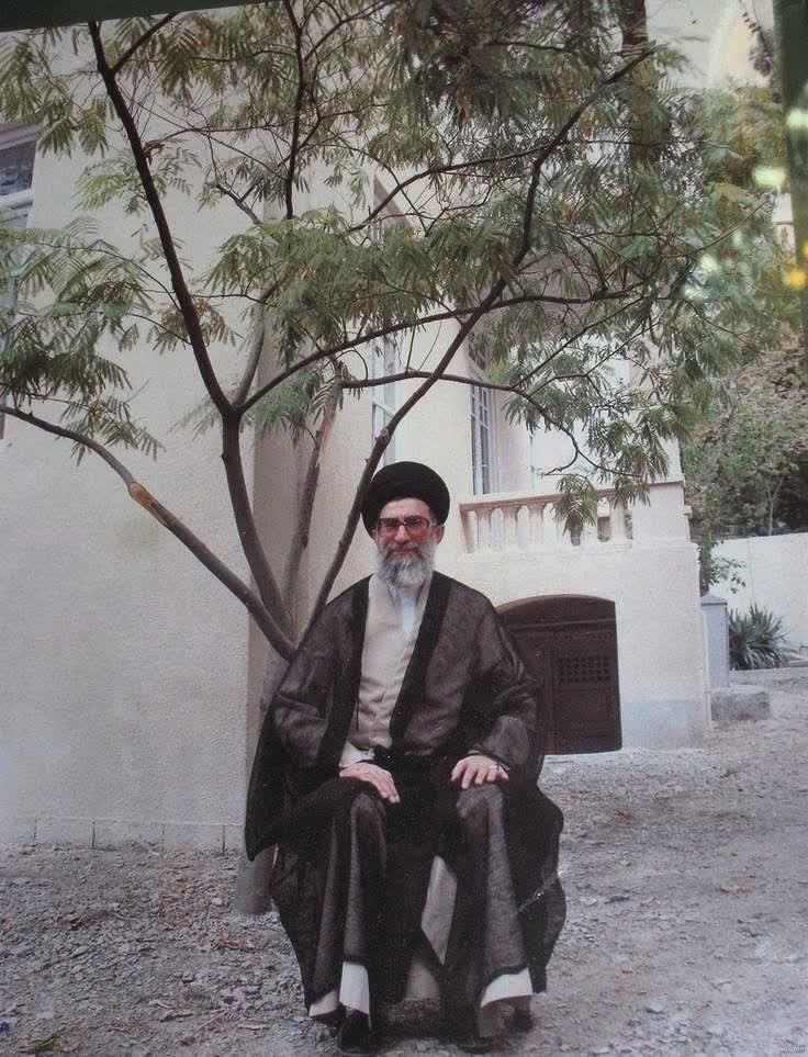 شهره یعقوبی