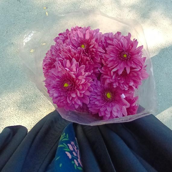 مریم سلیمانی