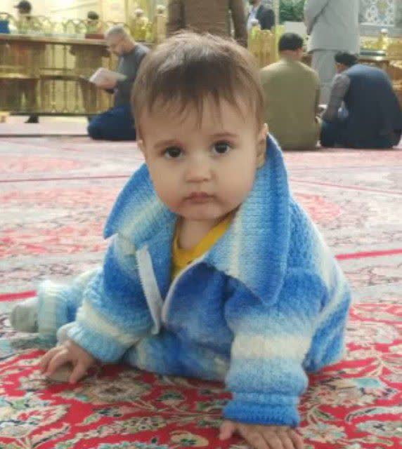 محمد حسین میرکمالی