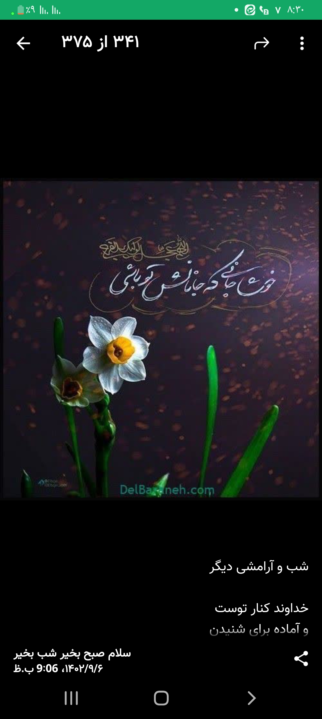 زهرا سیرتی