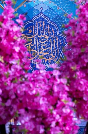 صبا صيادرحيم