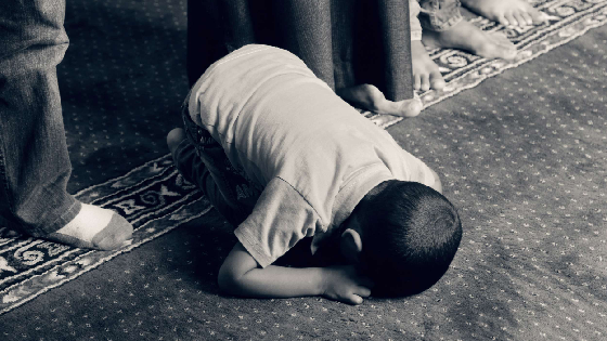 آثار شکر نعمت های خداوند