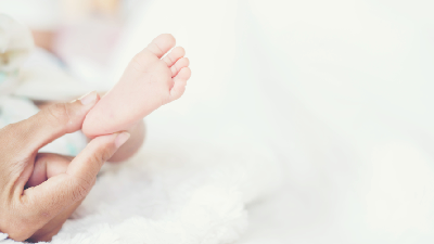 روش های تربیت و تأدیب در زندگی فردی و خانوادگی