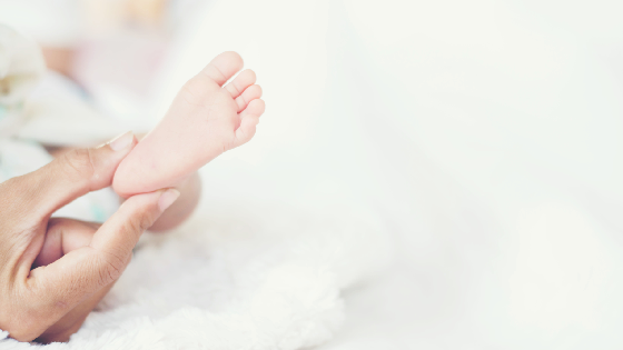 روش های تربیت و تأدیب در زندگی فردی و خانوادگی