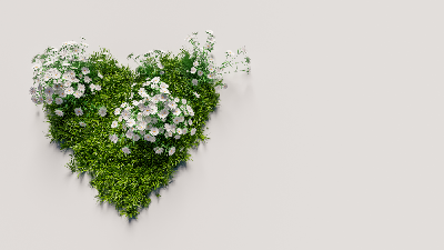 هنر زن بودن