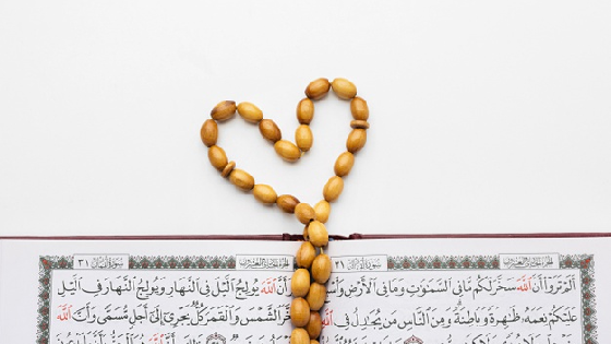 کتاب روشنایی