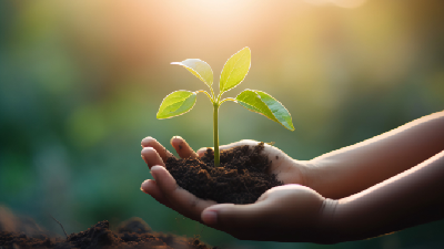 تربیت معنوی کودک و نوجوان