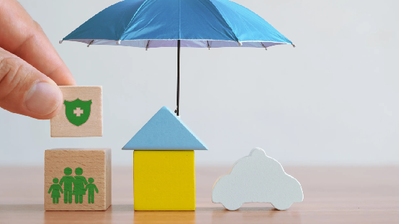 بیمه متعالی