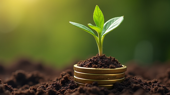 انفاق متعالی