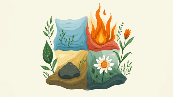 آشنایی با مزاج های چهارگانه