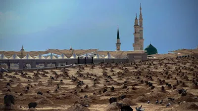 بینش مطهر - پیامبرشناسی