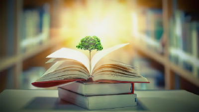 آموزش مهارت مطالعه سیستمی با رویکرد تربیتی