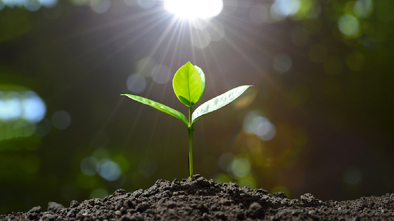 تحول معنوی در سلوک انسانی