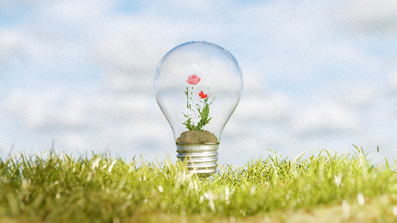 مدیریت درون